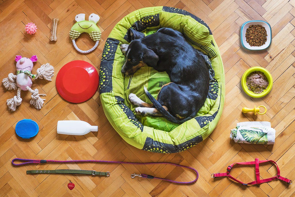 Dog Beds