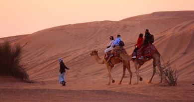 Desert Safari Dubai